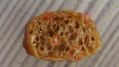 福摩狗粮全面测评，到底值不值得买？
