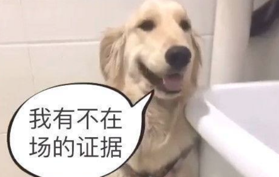 金毛把卫生间给拆了，回家后见主人家不吭声，狗狗的反映笑喷了