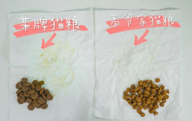 百元内国产优秀猫粮,高爷家新品“麦肯鸡猫粮”黑马出击 百元内国产优秀猫粮,高爷家新品“麦肯鸡猫粮”黑马出击