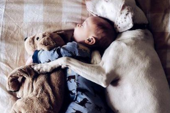 让小宝宝和狗狗独立在家里，推开门后心中一暖：这界面太温暖了吧