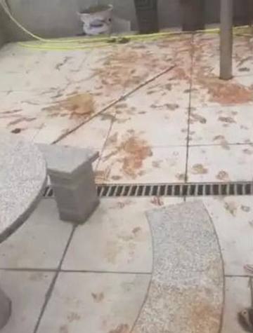 二哈下雨天跑出玩乐，回家了时还带了一身泥，主人见后大呼：害怕要