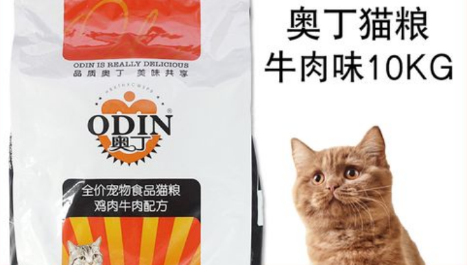 如何挑选到合适的猫粮？奥丁猫粮怎么样？