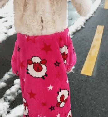 狗狗和主人去堆雪人，输掉以后，那样耍无赖不愿回家！