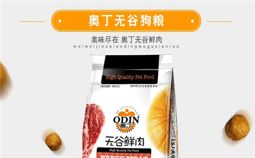 奥丁