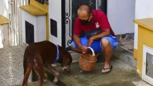 小狗化身为超市外卖员，每日帮主人配送，几十个详细地址它统统还记得