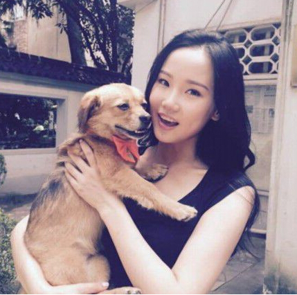 阿姨十年间收养上百条流浪狗引网友热赞 阿姨十年间收养上百条流浪狗引网友热赞