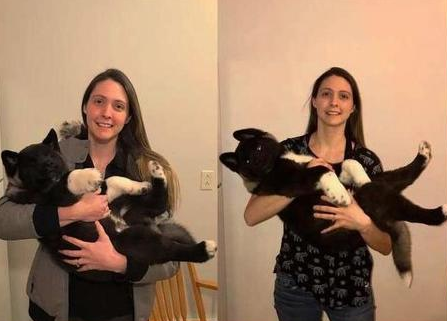 狗狗刚拿到手时精巧美丽动人，女人养了大半年后：亚力山大、伐功矜能