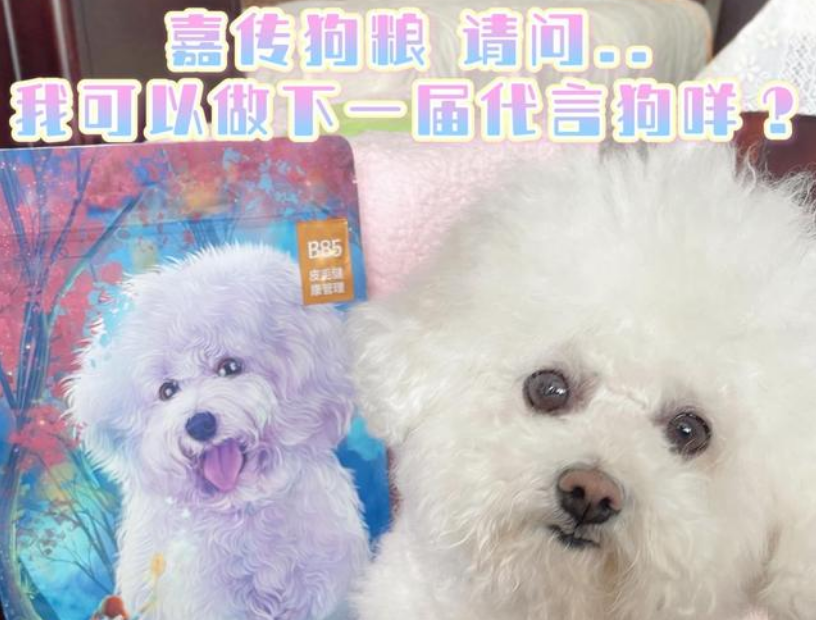 最近有尝试给万万子试吃一些国产粮 针对她毛发容易干枯无光泽 肠胃脆弱等问题 这次选了嘉传烘焙狗粮 他们家这款狗粮对狗狗的毛发帮助很有效 这个功效可不是嘴上说说 都是有数据验证支持的 30只狗狗以60天为周期最终得到的数据 所以毛孩子只要坚持吃 毛毛总有一天也会软fufu 万万子好想做嘉传狗粮的代言汪除了美毛健肤以外,嘉传宠粮有更好的蛋白来源 配比很均衡 营养价值很高 对免疫差容易生病的狗狗来说这个狗粮可以增加狗狗的免疫力 狗粮烘焙采用的是多维温控烘焙 相对传统的烘焙方式 多维温控烘焙的灭菌更彻底 狗粮的口感也会很有层次感 吃起来适口性很好 八万吃得嘎嘣脆 一大碗狗粮一会儿就光盘啦 现在八万不用拌零食或者罐头也肯单吃狗粮啦 说明它是真的很爱吃嘉传的狗粮 毛发也有在慢慢改善 给这个国产粮一个大大的赞! 最近有尝试给万万子试吃一些国产粮 针对她毛发容易干枯无光泽 肠胃脆弱等问题 这次选了嘉传烘焙狗粮 他们家这款狗粮对狗狗的毛发帮助很有效 这个功效可不是嘴上说说 都是有数据验证支持的 30只狗狗以60天为周期最终得到的数据 所以毛孩子只要坚持吃 毛毛总有一天也会软fufu 万万子好想做嘉传狗粮的代言汪除了美毛健肤以外,嘉传宠粮有更好的蛋白来源 配比很均衡 营养价值很高 对免疫差容易生病的狗狗来说这个狗粮可以增加狗狗的免疫力 狗粮烘焙采用的是多维温控烘焙 相对传统的烘焙方式 多维温控烘焙的灭菌更彻底 狗粮的口感也会很有层次感 吃起来适口性很好 八万吃得嘎嘣脆 一大碗狗粮一会儿就光盘啦 现在八万不用拌零食或者罐头也肯单吃狗粮啦 说明它是真的很爱吃嘉传的狗粮 毛发也有在慢慢改善 给这个国产粮一个大大的赞!