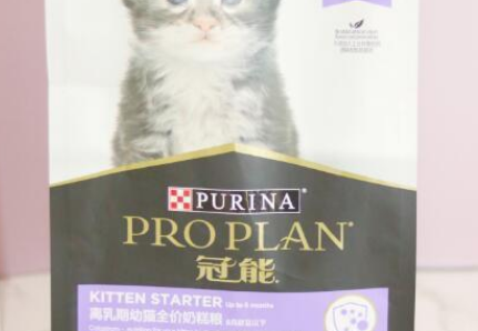 冠能为幼猫所量身定制初乳粮,帮助幼猫提高自身的免疫力 冠能为幼猫所量身定制初乳粮,帮助幼猫提高自身的免疫力