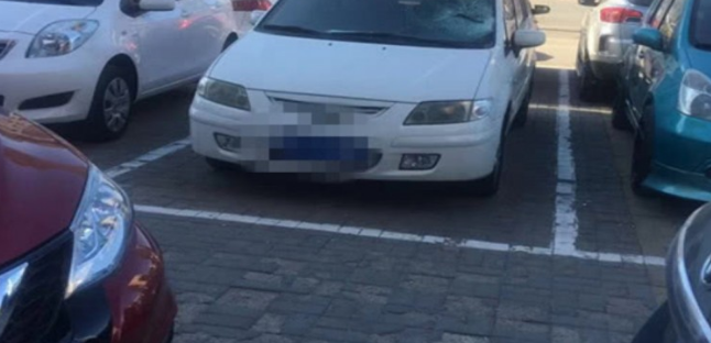 谁那么绝情？高层住宅往下扔泰迪砸中小汽车，车挡风玻璃被砸烂