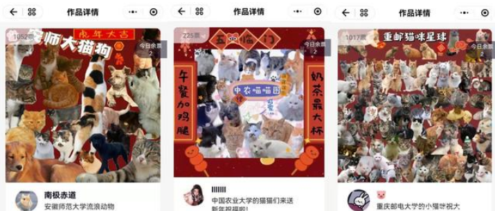 如何用品牌的温度温暖消费者？佩玛思特给出了不一样的答案！