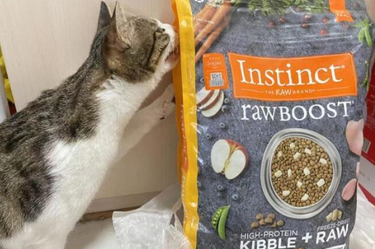 instinct猫粮推荐:冻干猫粮和普通猫粮的区别? instinct猫粮推荐:冻干猫粮和普通猫粮的区别?