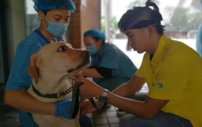 雷米高澳宝狗粮：有英雄故事的犬粮