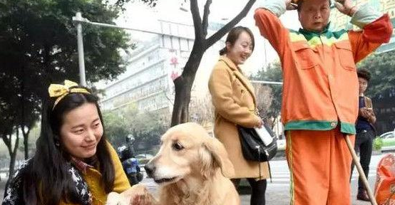 负伤的金毛被环卫工人阿姨救下，它的知恩图报方法，招来过路人一片欢呼