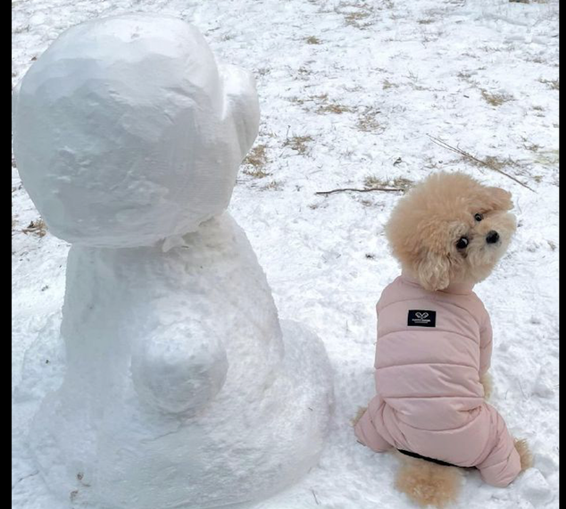 主人堆了个和狗狗一模一样的雪娃娃，它眼神呆滞看见：想替代我吗？