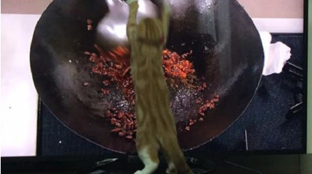 猫咪“炒菜”视频火爆社交网络 受到大家的热捧 猫咪“炒菜”视频火爆社交网络 受到大家的热捧