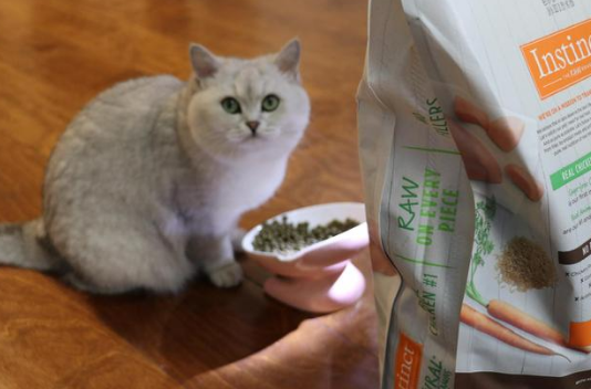 拒绝踩坑，谁是猫粮性价比之王？Instinct百利了解一下