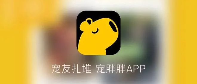 麻花特开心,宠胖胖养宠特安心 麻花特开心,宠胖胖养宠特安心