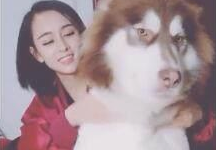 主人给狗狗推拿,接完电話之后狂躁不安,最终狗狗小表情会亮