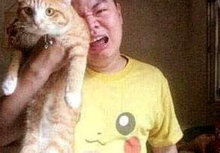 男子失恋回到家，抱着猫咪擦泪又擦鼻涕，猫咪反击后成功进医院