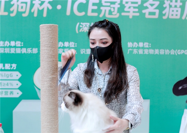 ICE猫赛落幕:RedDog红狗新品获猫舍追捧 ICE猫赛落幕:RedDog红狗新品获猫舍追捧