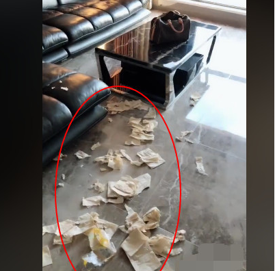 金毛撕家后被骂,抓着门拉手要出走,主人:赌一百元你害怕走