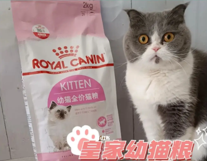 皇家是毒猫粮吗 皇家是毒猫粮吗