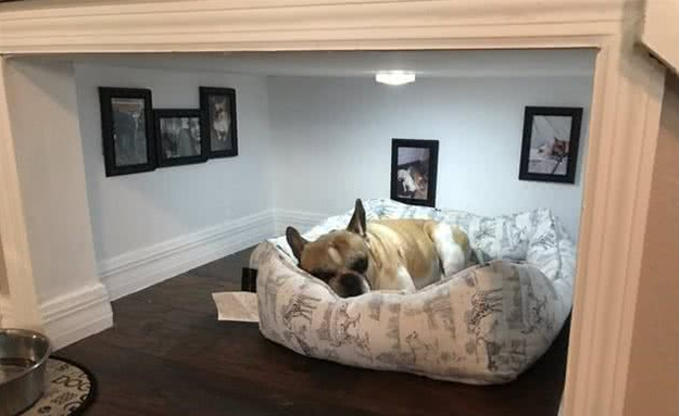 爱心爆棚!狗主人在新房为宠物狗狗打造一间超级迷你温馨犬屋! 爱心爆棚!狗主人在新房为宠物狗狗打造一间超级迷你温馨犬屋!