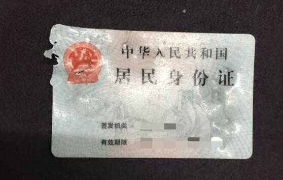 聪明金毛却也忽然咬坏主人家身份证件，耽搁主人家行程安排却救了他一命！