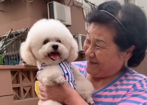 球球小萌犬吃的什么.png 球球小萌犬吃的什么.png