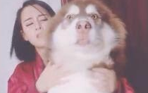主人给狗狗推拿,接完电話之后狂躁不安,最终狗狗小表情会亮