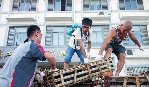 江苏非法货车被举报 上千只被贩卖的猫咪获救