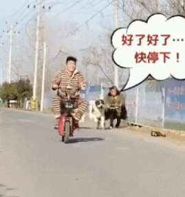 女人包包被恶人抢,二只狗狗帮讨回,結果狗主人悲剧了! 女人包包被恶人抢,二只狗狗帮讨回,結果狗主人悲剧了!