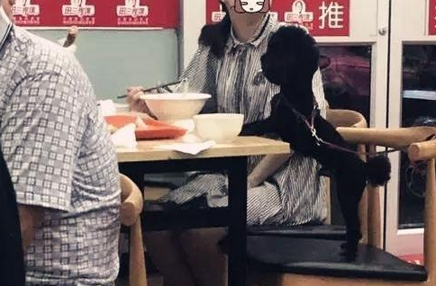 女子和狗狗同用一个碗用餐,许多顾客大为光火!