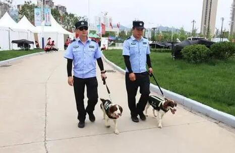 十四运会公路自行车项目测试赛小警犬的特殊任务 十四运会公路自行车项目测试赛小警犬的特殊任务
