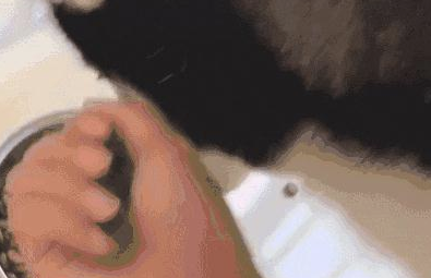 网友从哈士奇的碗里抓了一把狗粮吃,它都懵了了:我们家要破产了? 网友从哈士奇的碗里抓了一把狗粮吃,它都懵了了:我们家要破产了?