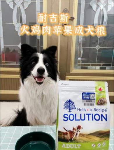 挑选宠粮有门道,耐吉斯进口狗粮值得推荐 挑选宠粮有门道,耐吉斯进口狗粮值得推荐
