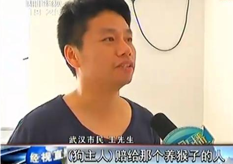宠物斗牛犬当街紧咬小猴不放 主人因此大打出手 宠物斗牛犬当街紧咬小猴不放 主人因此大打出手