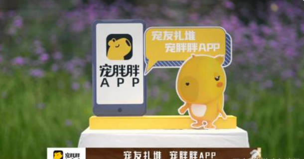 萌探2携手特别宠爱官宠胖胖向您报道