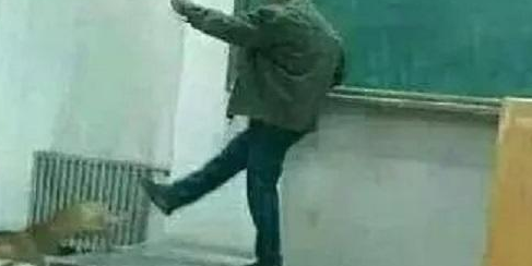 看一下狗狗在课堂教学懒惰入睡，教授中间往前就一脚