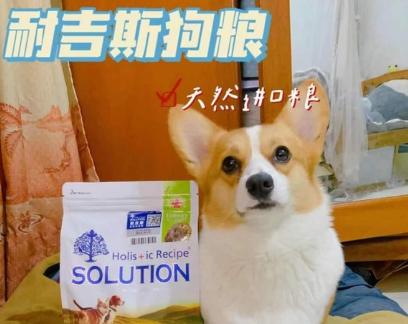高性价比宠粮推荐,耐吉斯进口狗粮实至名归 高性价比宠粮推荐,耐吉斯进口狗粮实至名归