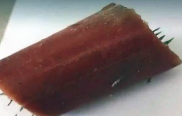 金毛在街边捡了一根香肠,差点儿送命,身后的诡计太可怕了 金毛在街边捡了一根香肠,差点儿送命,身后的诡计太可怕了