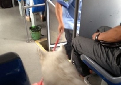 一对老人带狗上公交遭拒 迫停20分钟