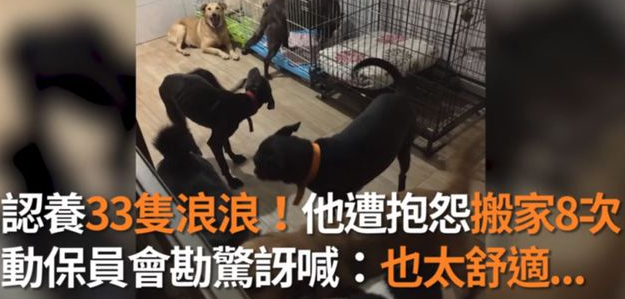 养了33只狗被投诉,可工作人员进屋一看非常惊讶:这也太舒适了吧! 养了33只狗被投诉,可工作人员进屋一看非常惊讶:这也太舒适了吧!