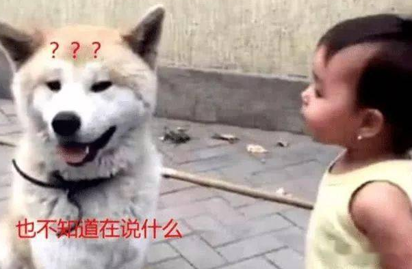 儿子已经经验教训狗狗，忽然狗狗一个扭头，场景一瞬间笑喷了