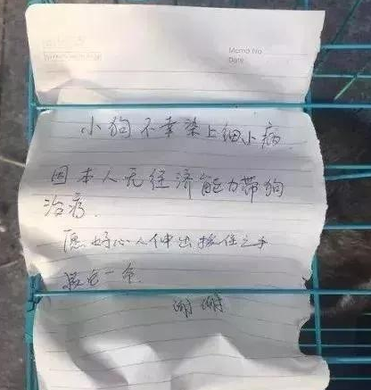 小哈士奇被别人丢弃,见到笼子上的纸条后很恼怒… 小哈士奇被别人丢弃,见到笼子上的纸条后很恼怒…