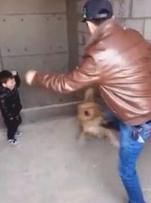人贩想抱走小主人,金毛这一姿势,比人还强大 人贩想抱走小主人,金毛这一姿势,比人还强大