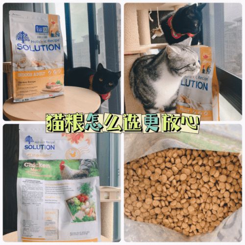 铲屎官必备干货,性价比超高的耐吉斯成猫粮放心入 铲屎官必备干货,性价比超高的耐吉斯成猫粮放心入