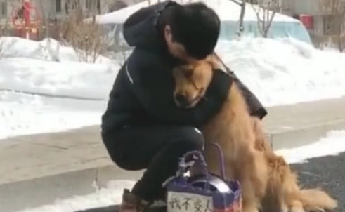 主人收拾行李要走,狗狗把自己的工作也装包,接着一举令人泪崩 主人收拾行李要走,狗狗把自己的工作也装包,接着一举令人泪崩