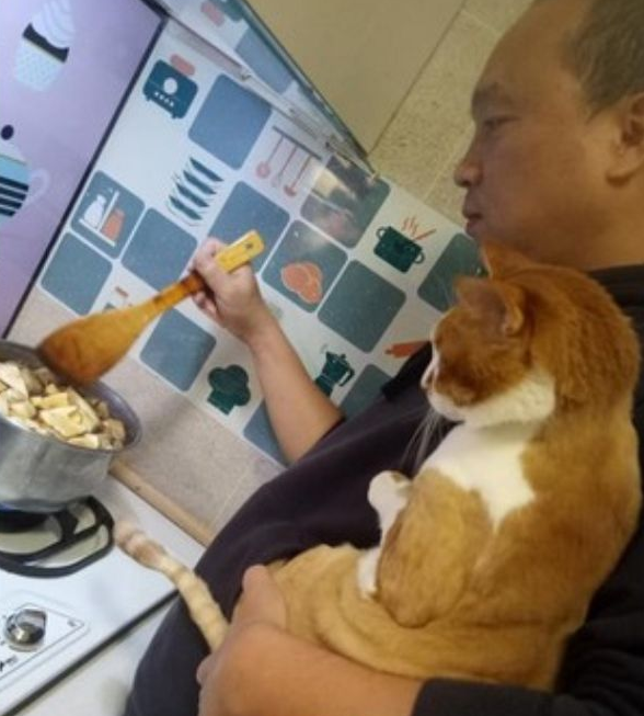 吵着要看！主人无奈“单手抱猫”炒菜，就跟带小孩一样